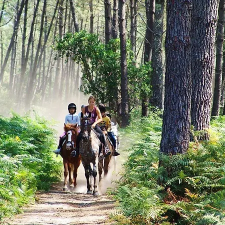 Apartment T2 A Vieux-boucau Avec Balcon, Animaux Admis - Fr-1-379-24 *