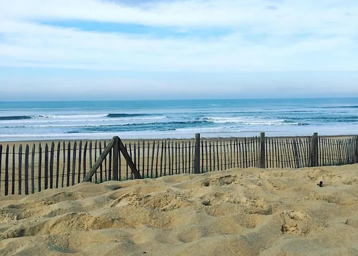 T2 A Vieux-boucau Avec Balcon, Animaux Admis - Fr-1-379-24 Lejlighed Vieux-Boucau-les-Bains